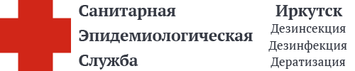 СЭС Иркутска